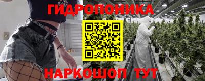 крисы Бугуруслан