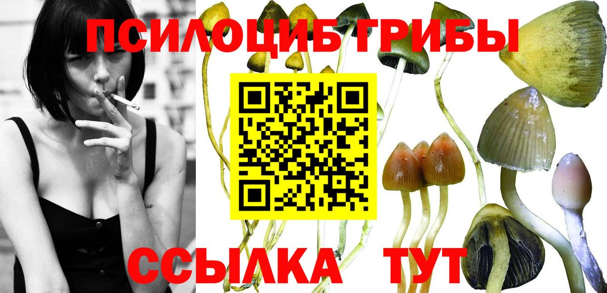 Псилоцибиновые грибы Cubensis  купить наркоту  Междуреченск  Вход с VPN 