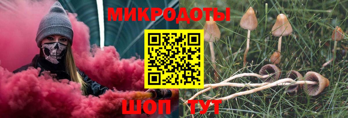 Галлюциногенные грибы GOLDEN TEACHER Междуреченск